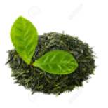 green sencha tea with tea leaves isolated on white